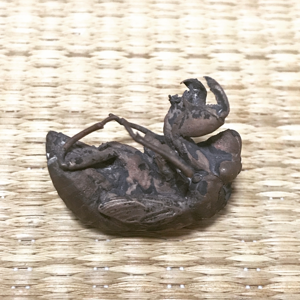 f:id:mangokyoto:20180911172247j:plain