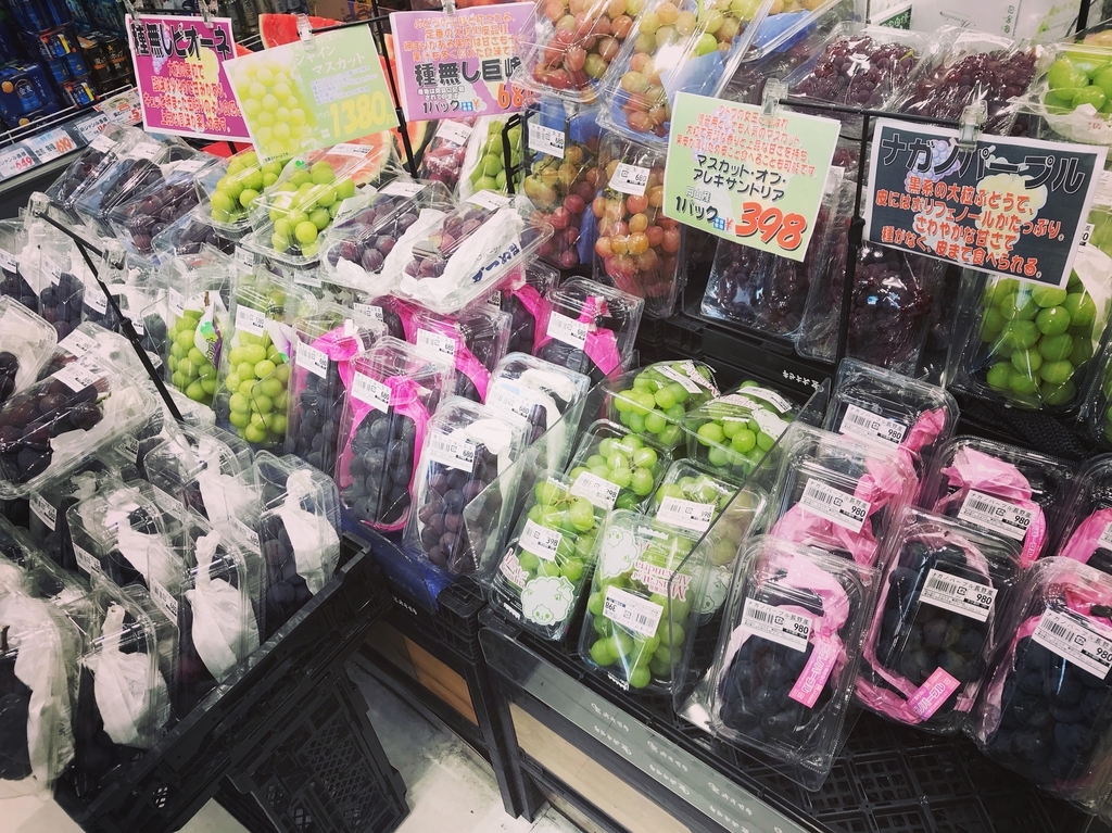 f:id:mangokyoto:20180913125544j:plain