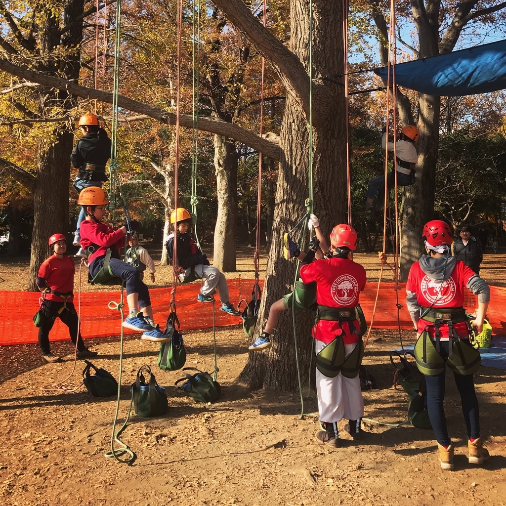 f:id:mangokyoto:20181201133302j:plain f:id:mangokyoto:20181201133302j:plain