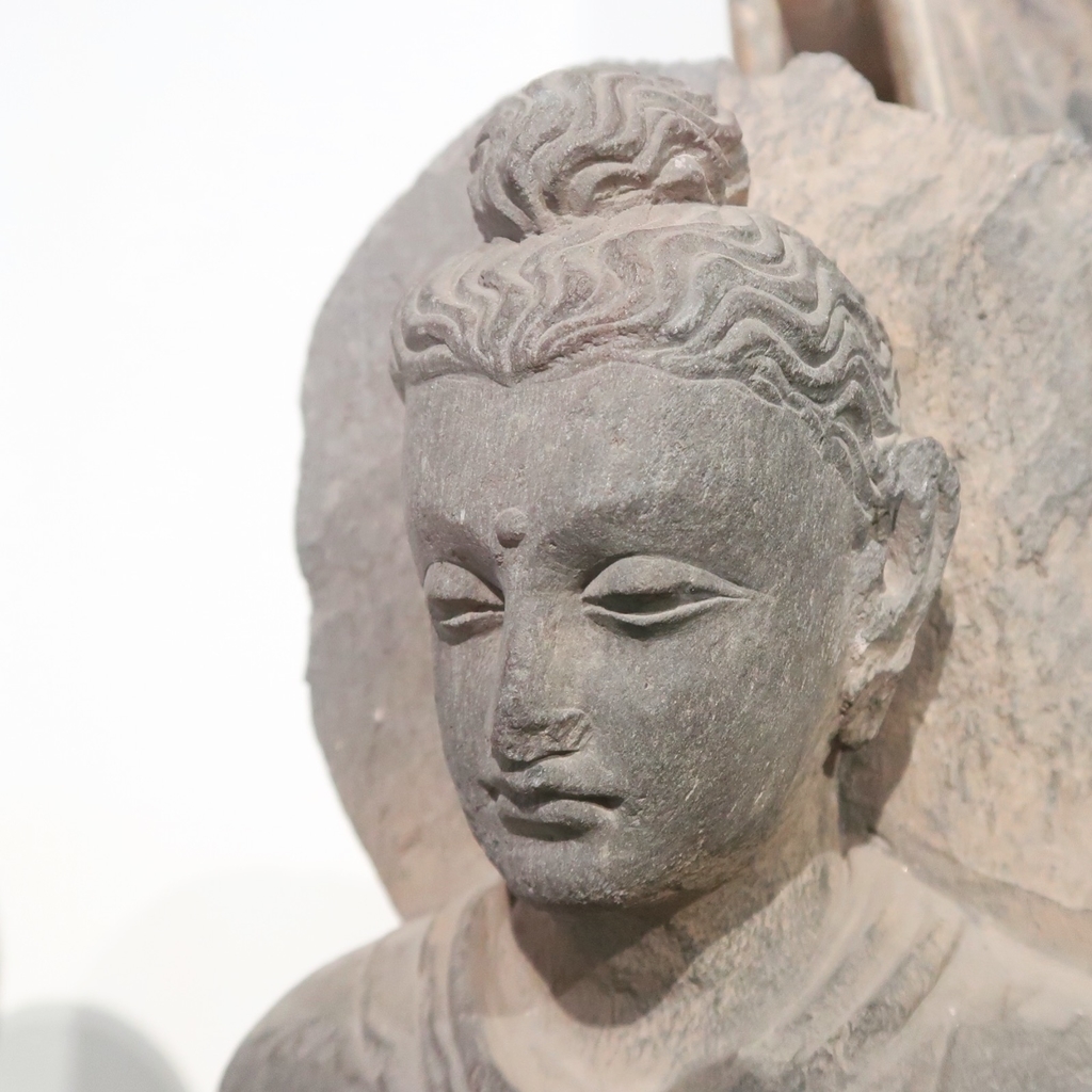 f:id:mangokyoto:20190304233840j:plain f:id:mangokyoto:20190304233840j:plain