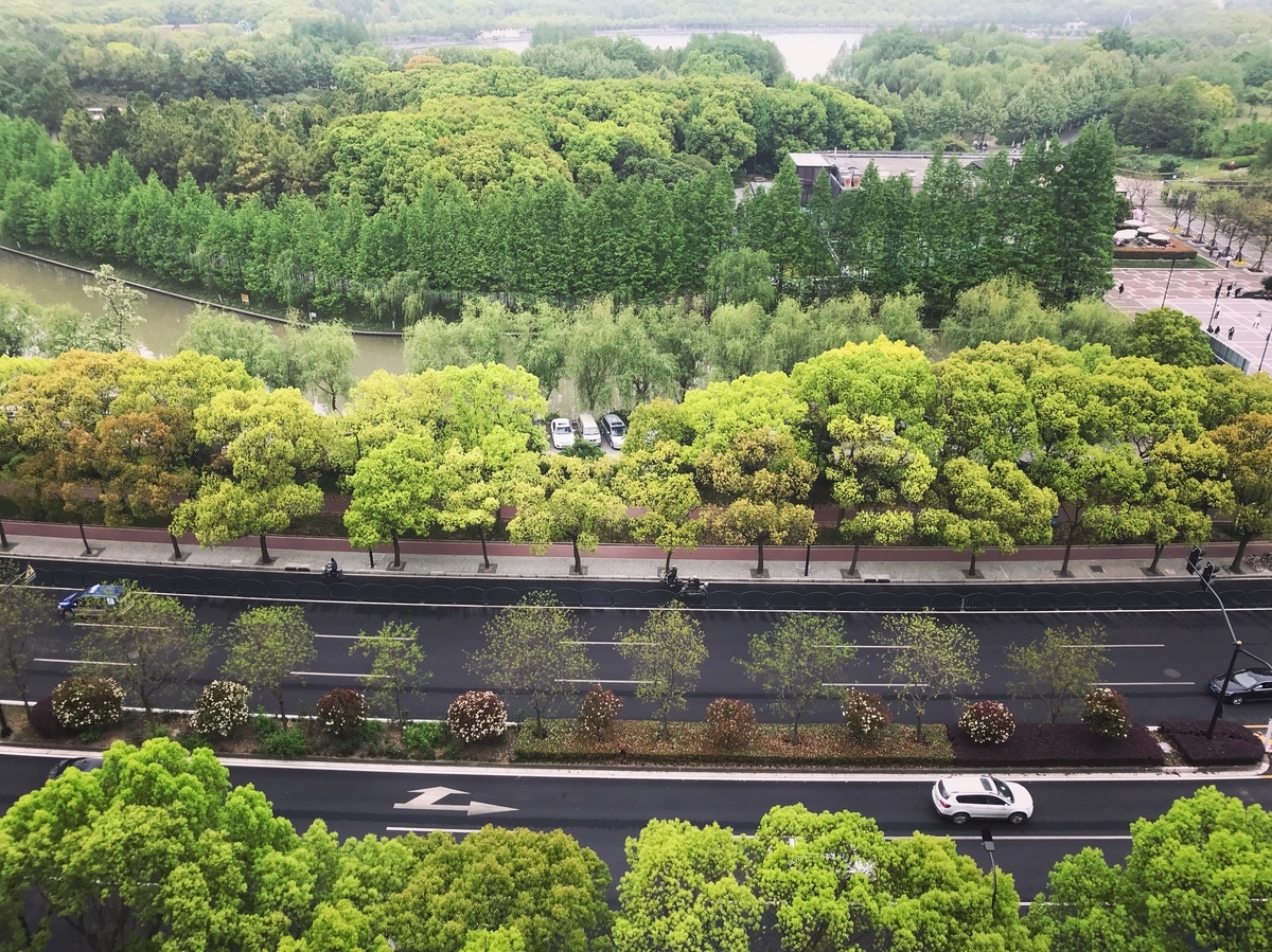 f:id:mangokyoto:20190421092022j:plain