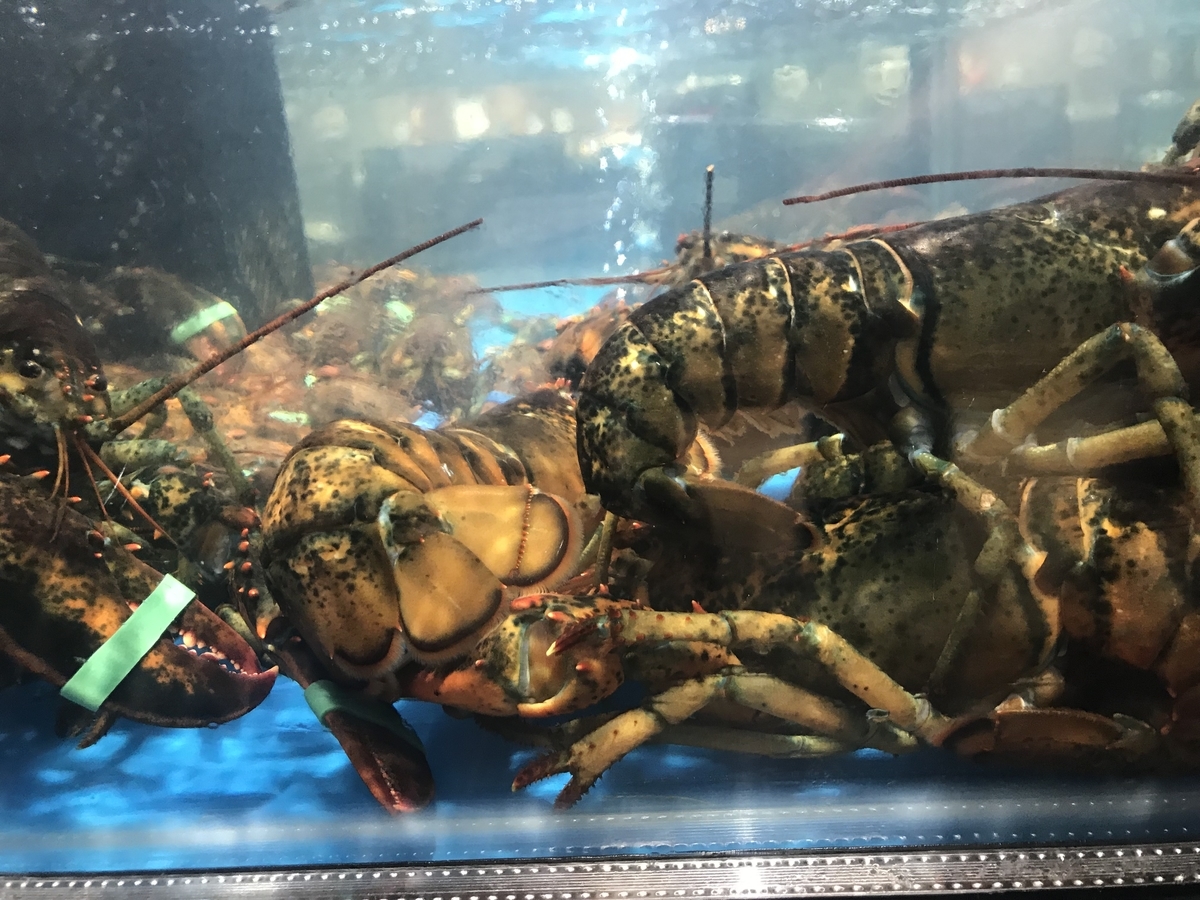 f:id:mangokyoto:20190630003706j:plain f:id:mangokyoto:20190630003706j:plain