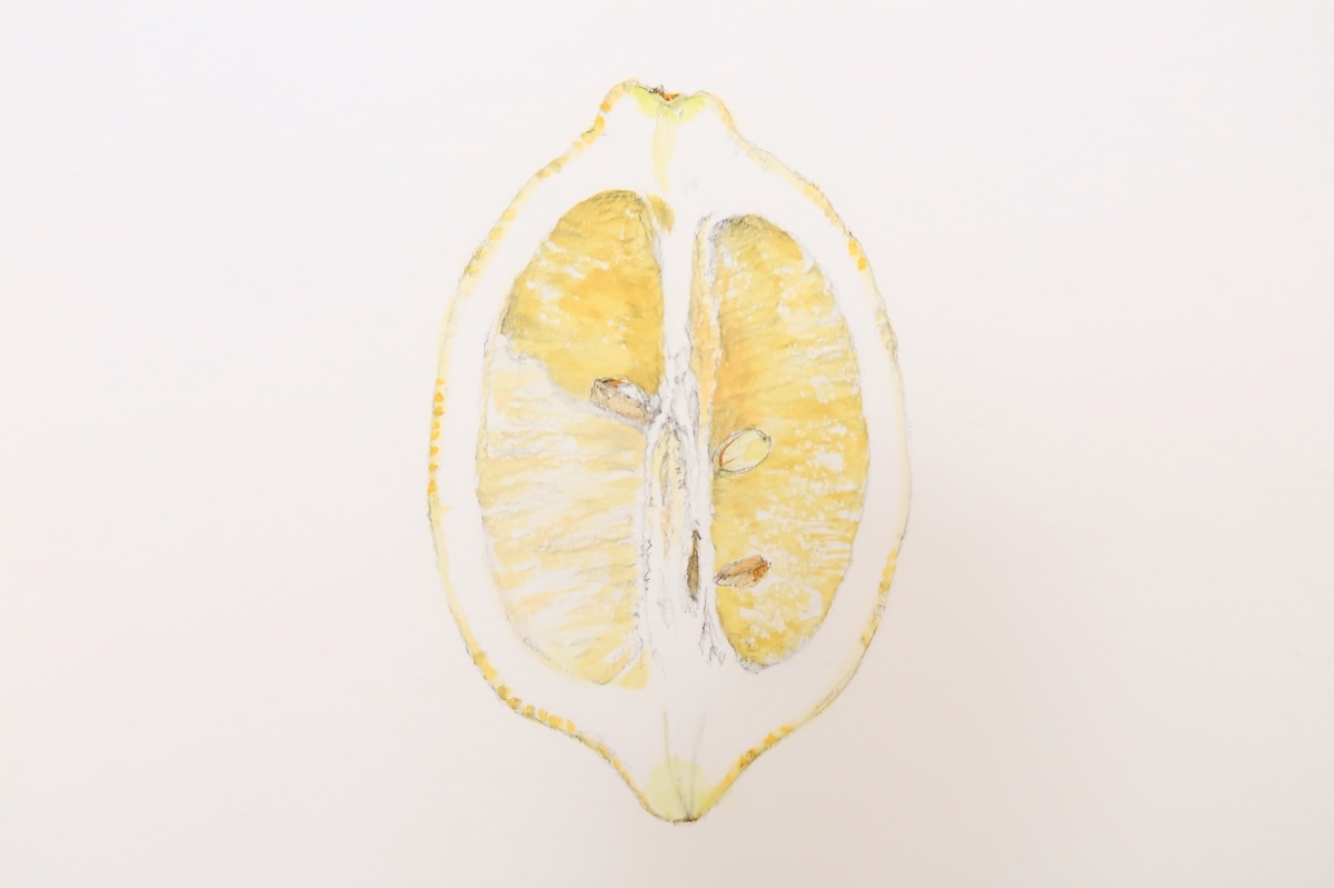 f:id:mangokyoto:20190906104419j:plain f:id:mangokyoto:20190906104419j:plain