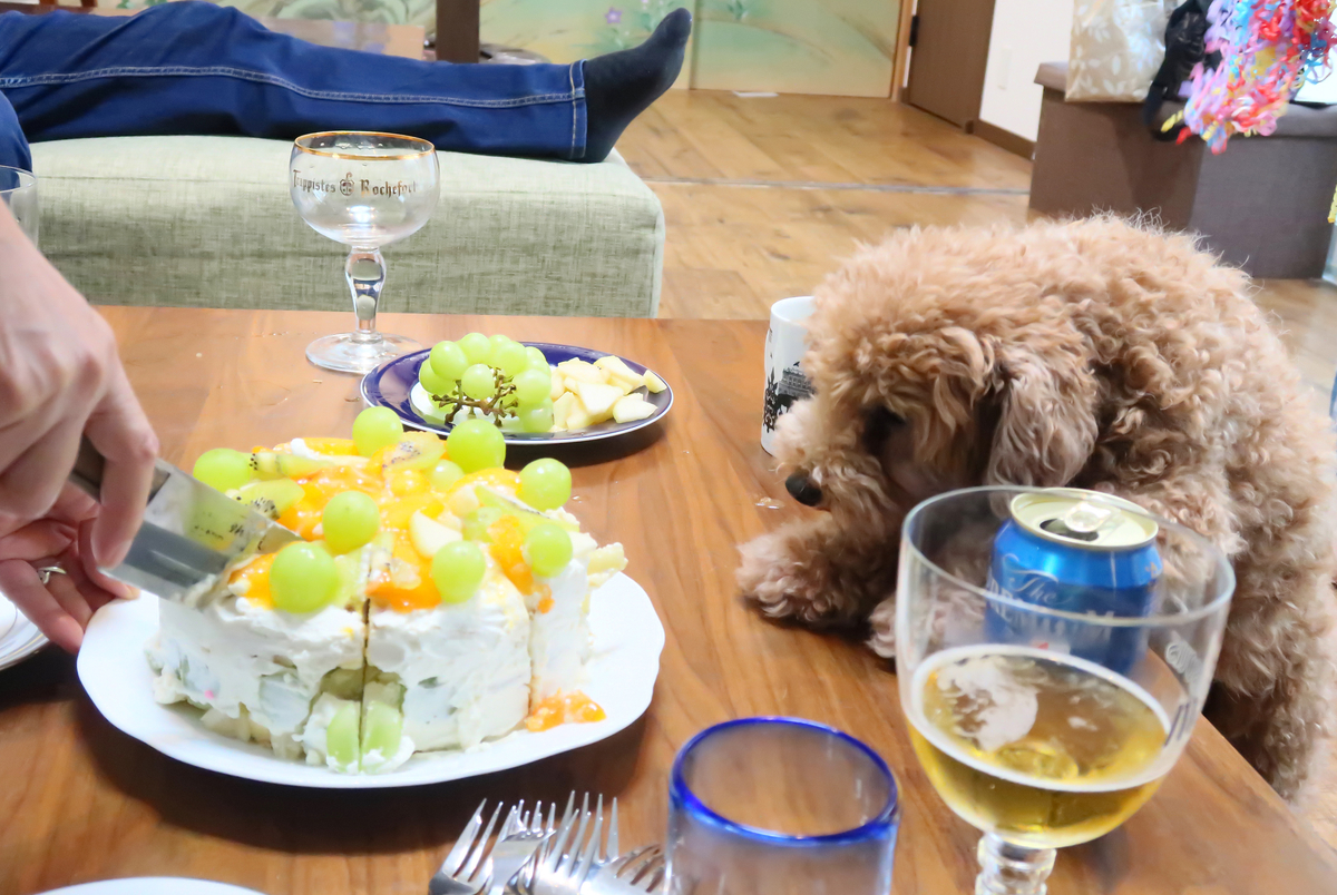 f:id:mangokyoto:20191020131049j:plain