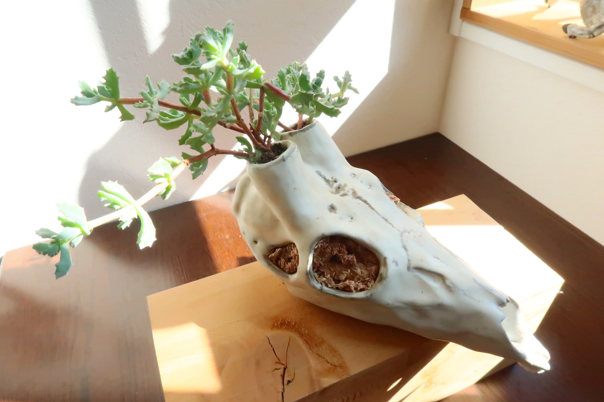 f:id:mangokyoto:20200318092356j:plain