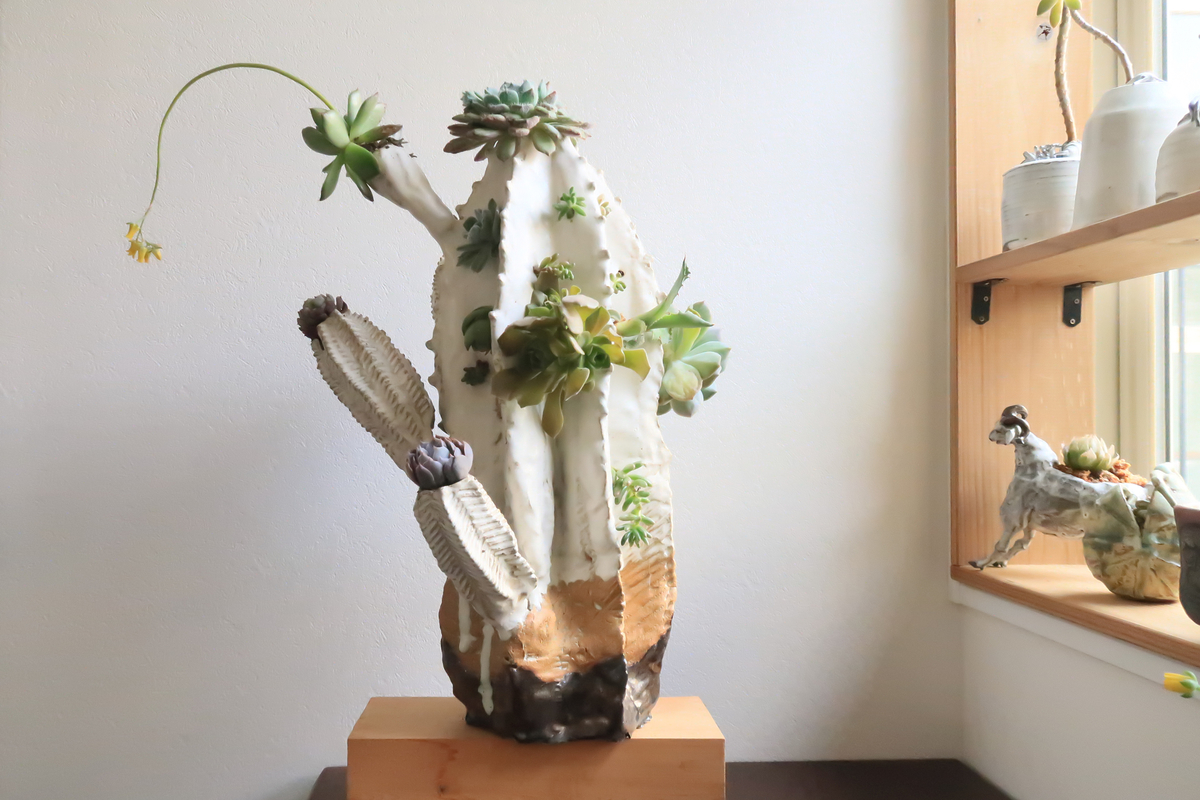 コタママ様　多肉植物棚　TD-OW90 コタママ様 多肉植物棚 TD-OW90 （またまた溢れてきた多肉達を