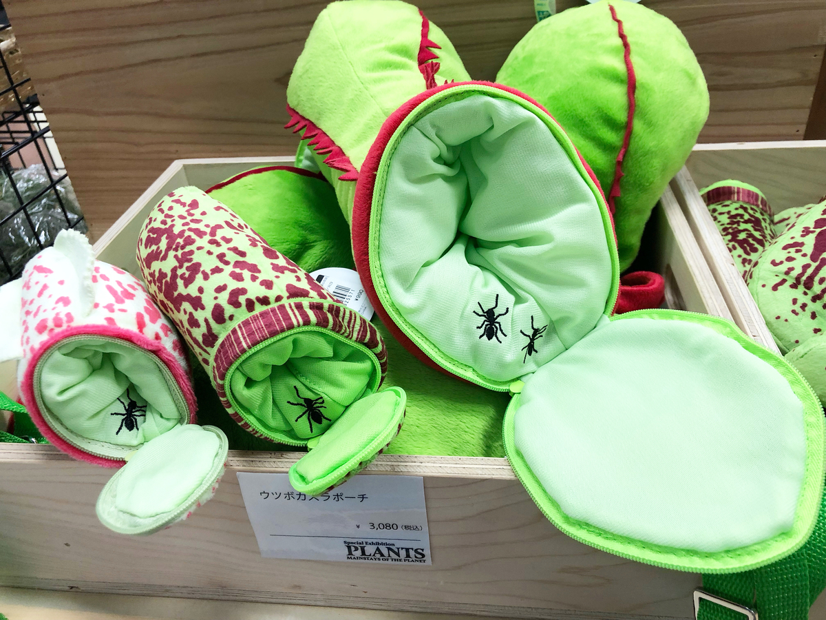 植物展 ラフレシアクッション&ラフレシアマグネット