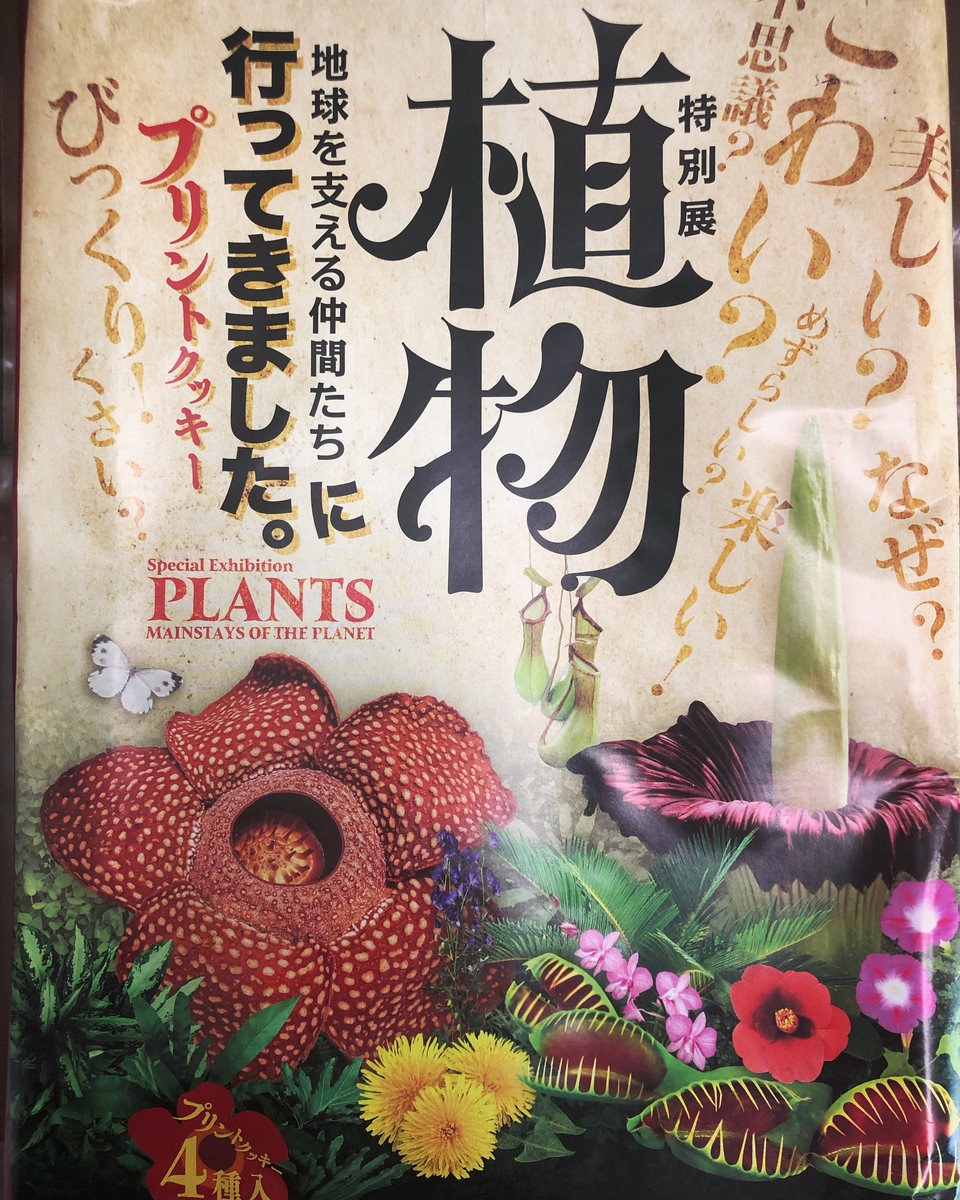 国立科学博物館 特別展 植物 地球を支える仲間たち はんなりマンゴー
