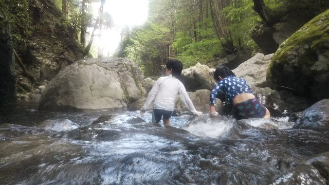 f:id:mangokyoto:20210726231510j:image f:id:mangokyoto:20210726231510j:image