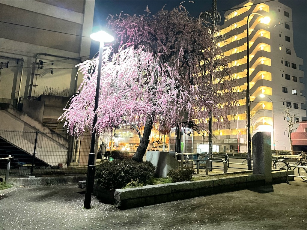 f:id:mangokyoto:20220310220236j:image