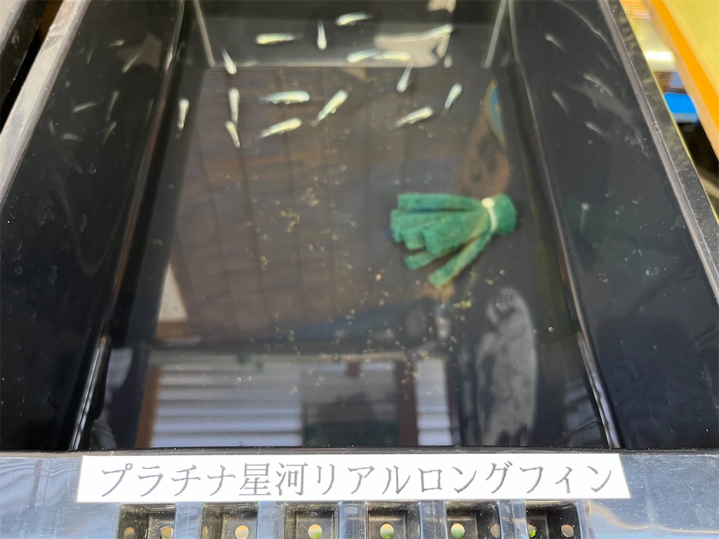 f:id:mangokyoto:20220502101952j:image f:id:mangokyoto:20220502101952j:image