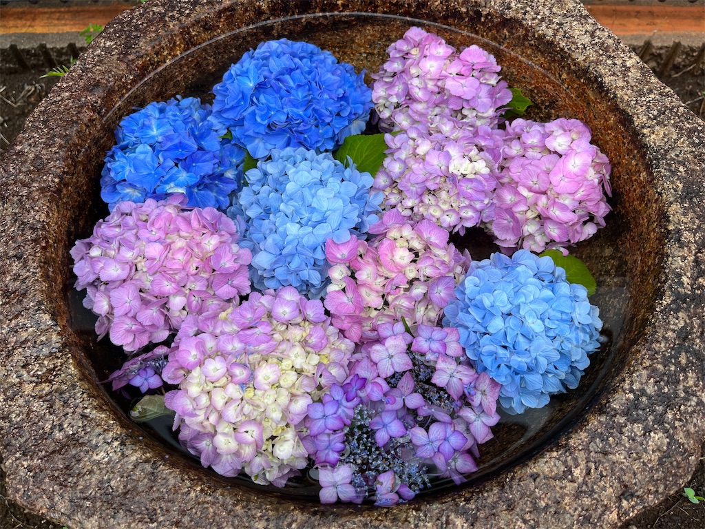 f:id:mangokyoto:20230604224604j:image
