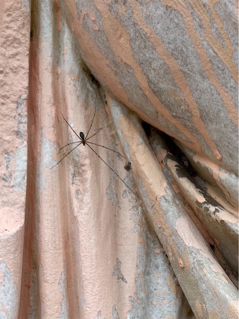 f:id:mangokyoto:20240708155131j:image f:id:mangokyoto:20240708155131j:image