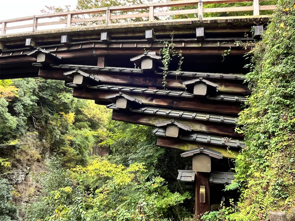 f:id:mangokyoto:20241030221402j:image