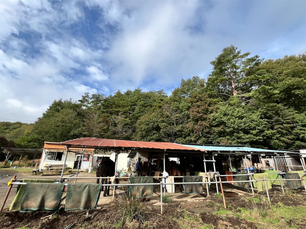 f:id:mangokyoto:20241030221523j:image