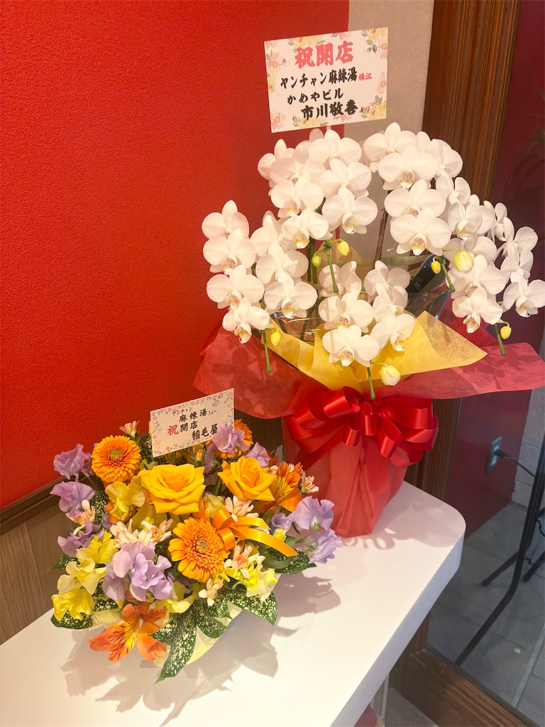 f:id:mangokyoto:20250310193637j:image f:id:mangokyoto:20250310193637j:image