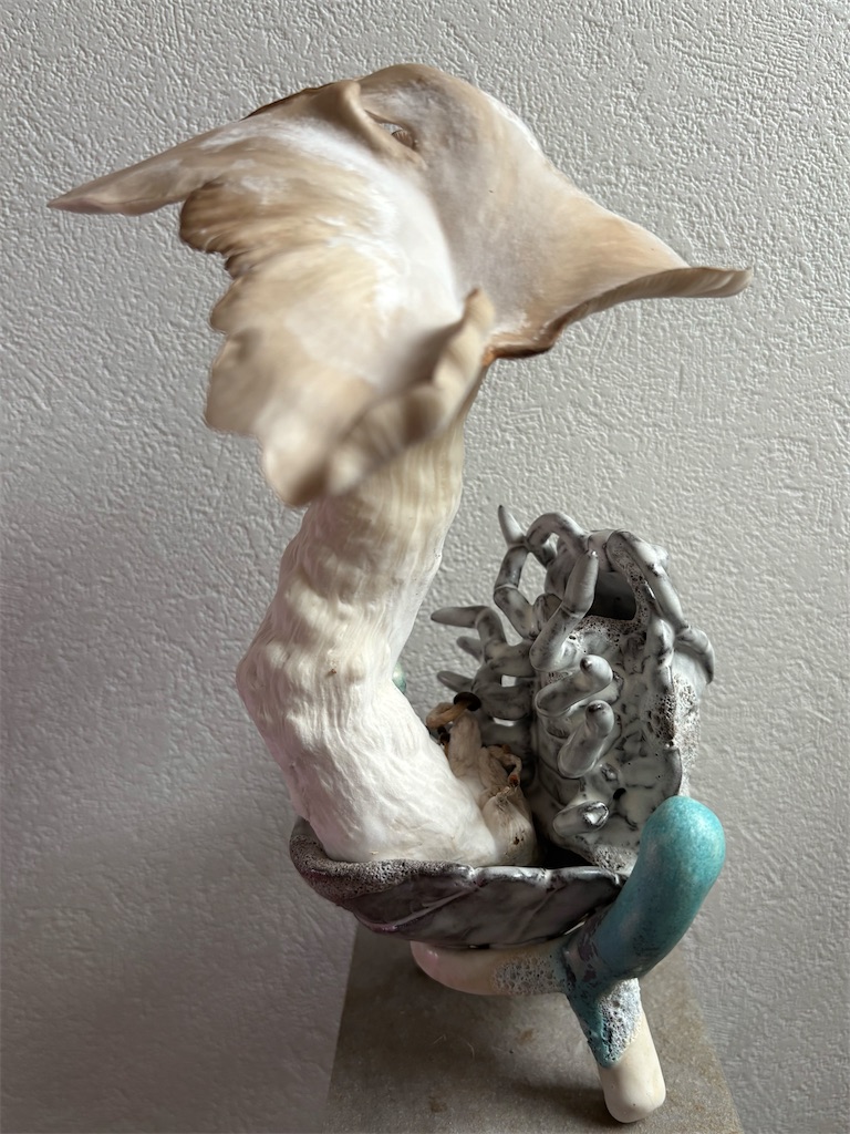 f:id:mangokyoto:20250310201542j:image