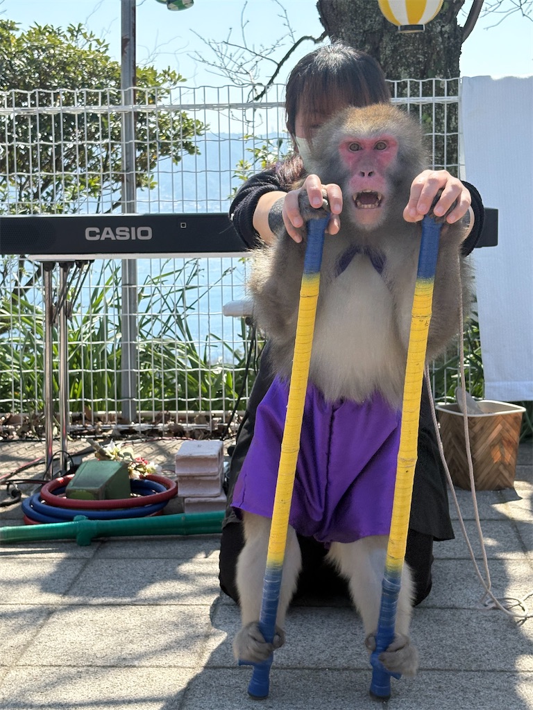 f:id:mangokyoto:20250323210330j:image