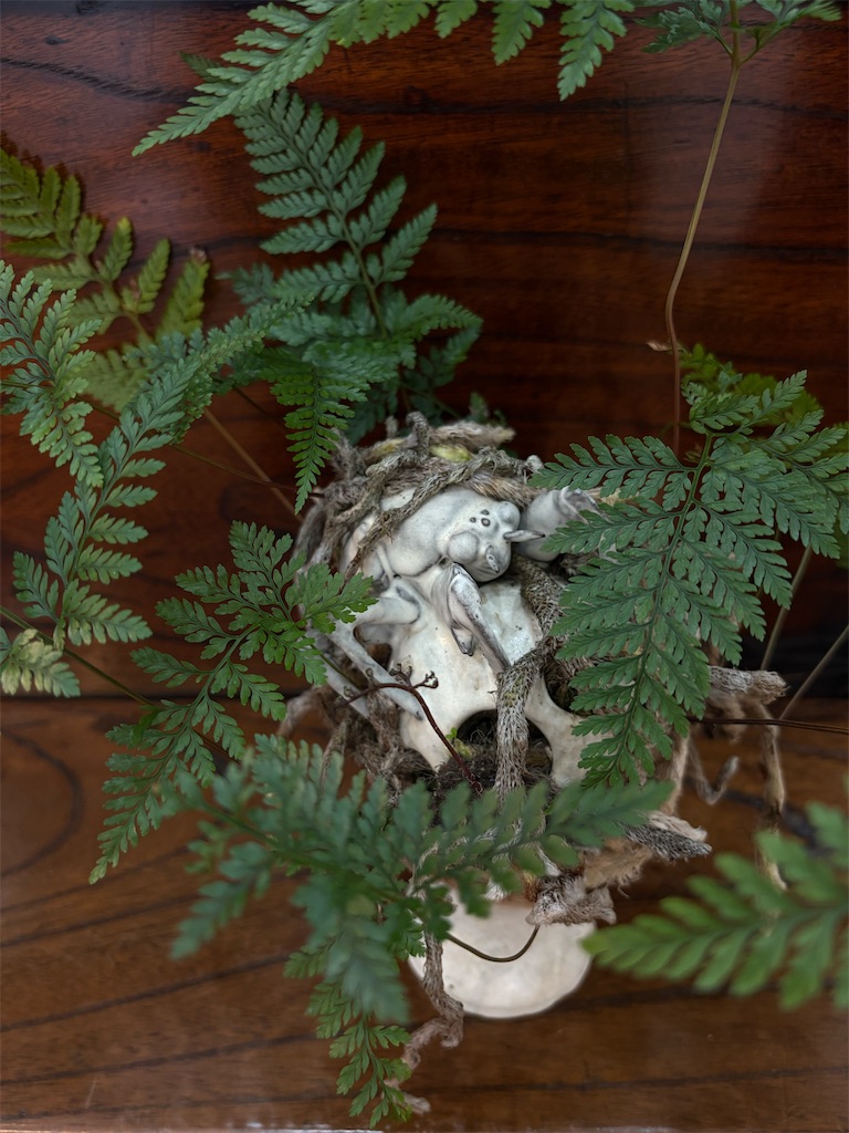 f:id:mangokyoto:20250412193547j:image