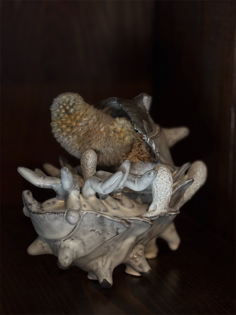 f:id:mangokyoto:20250412193558j:image