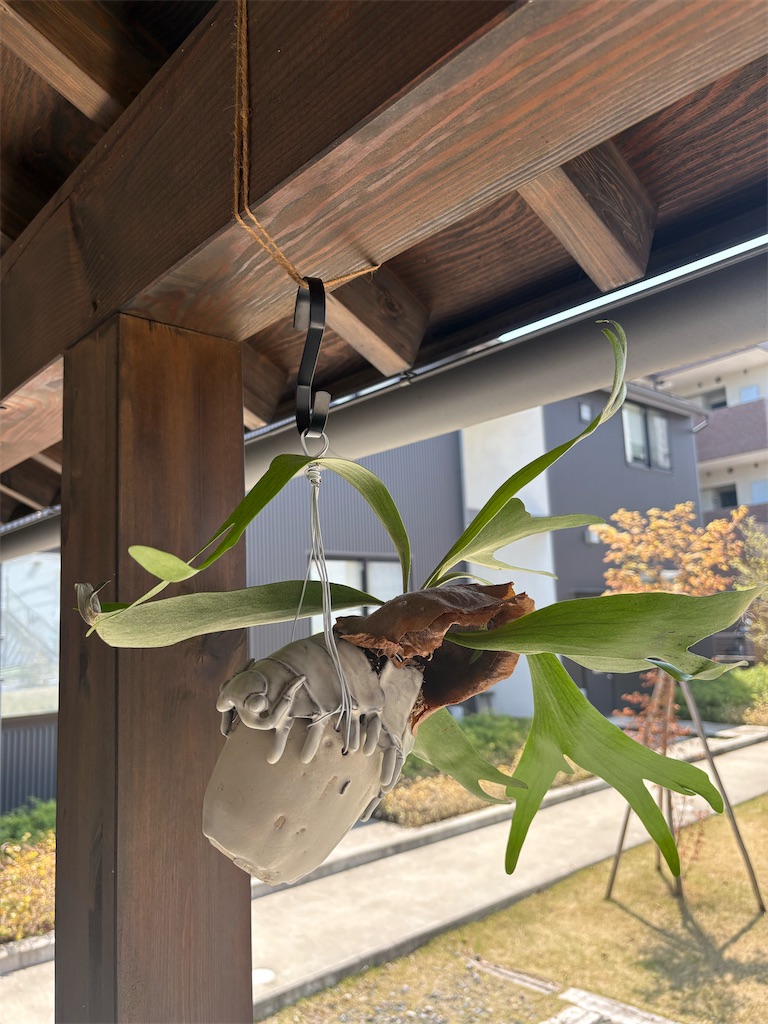 f:id:mangokyoto:20250412193733j:image