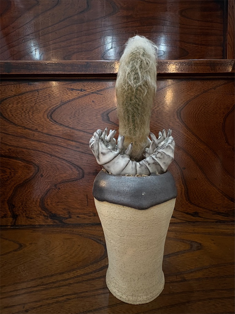 f:id:mangokyoto:20250412193738j:image