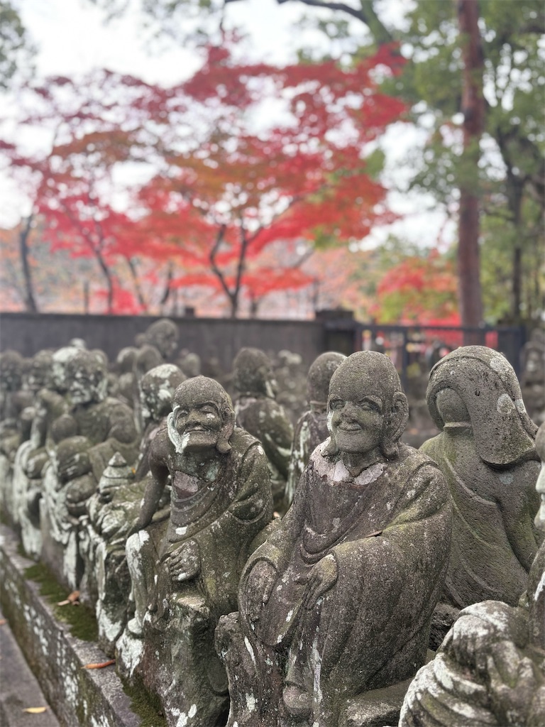 f:id:mangokyoto:20251123220823j:image