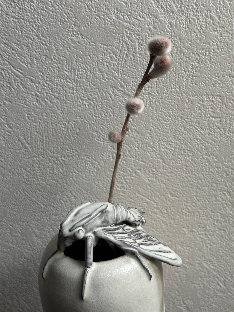 f:id:mangokyoto:20260705132437j:image