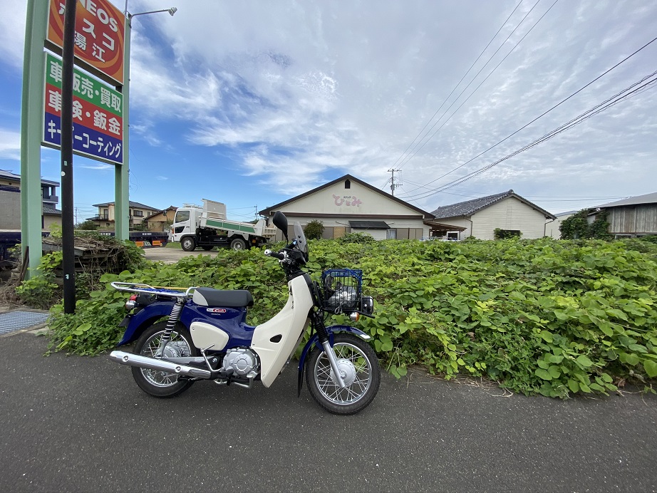 f:id:mangomushi:20201211151001j:plain