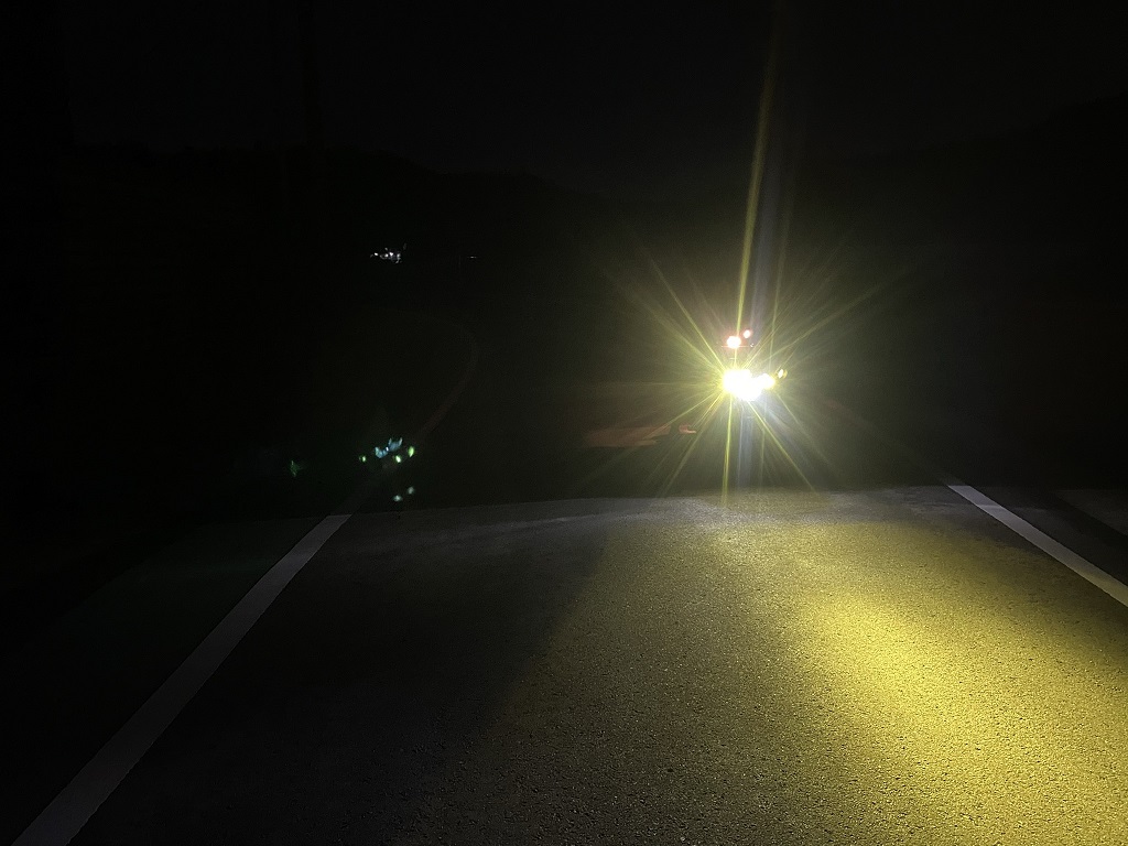 f:id:mangomushi:20210301145111j:plain