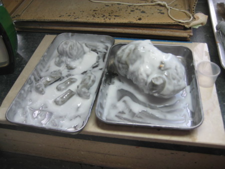 f:id:mani-ken:20120125045657j:image