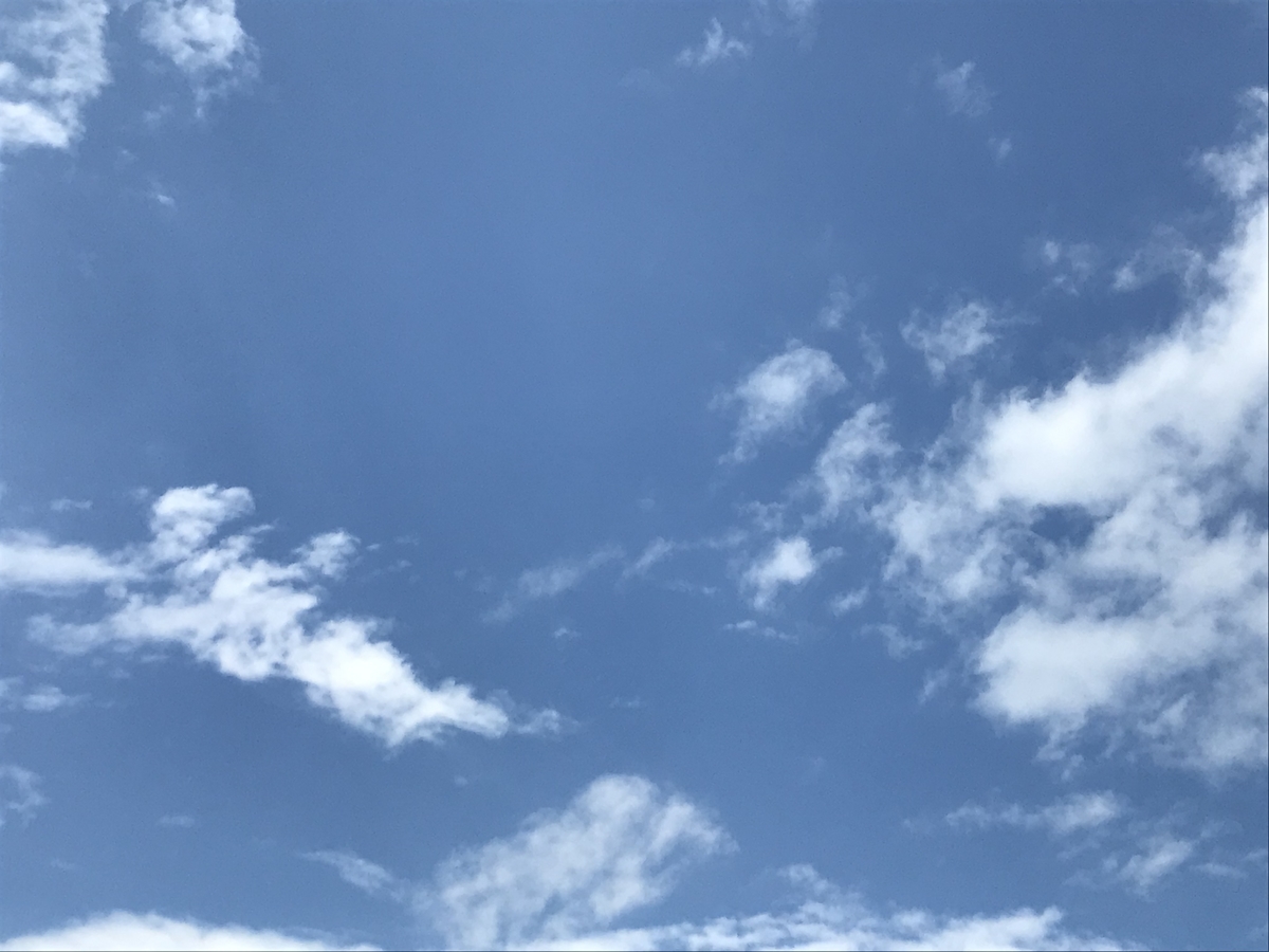 f:id:maniacfishhook:20200730140317j:plain f:id:maniacfishhook:20200730140317j:plain