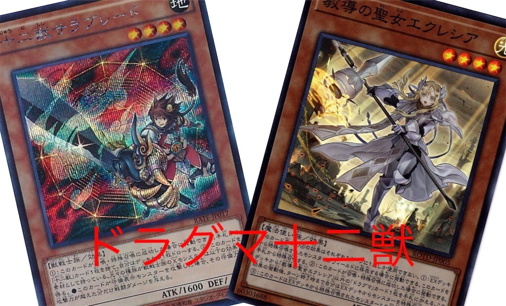 ドラグマ十二獣 - 宝月のあ カードゲーム部 ドラグマ十二獣 - 宝月のあ カードゲーム部
