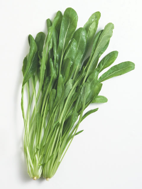 f:id:manimani-farm:20201202013143j:plain