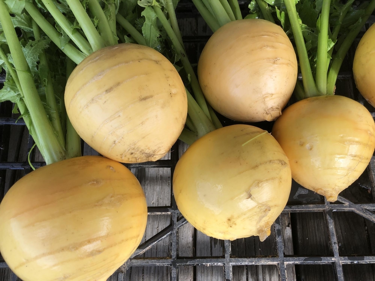 f:id:manimani-farm:20201202013215j:plain