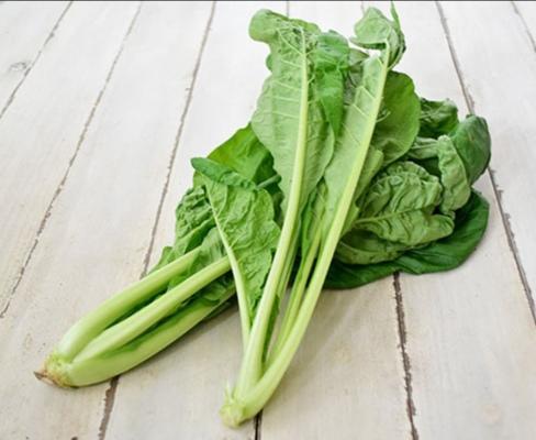 f:id:manimani-farm:20211008221943j:plain