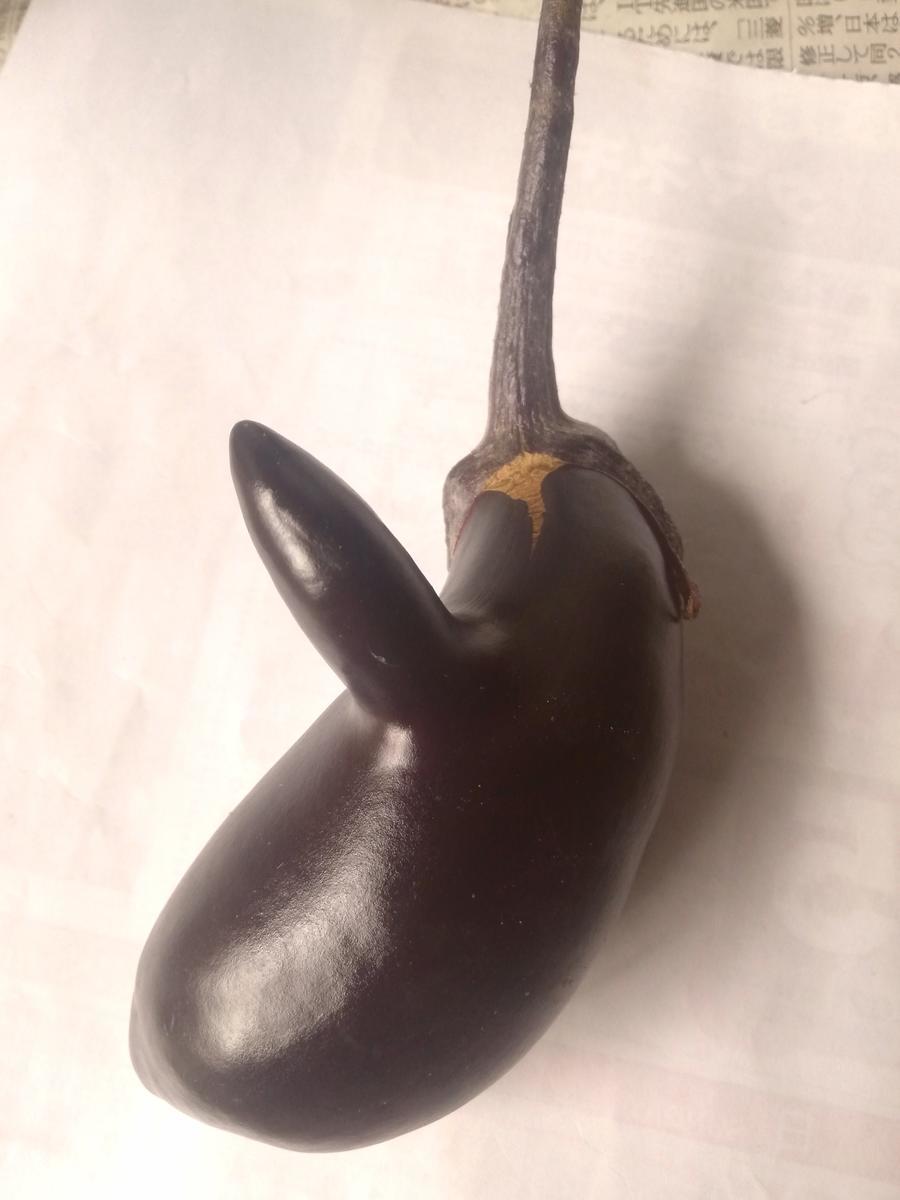 f:id:manimani-farm:20211020231055j:plain