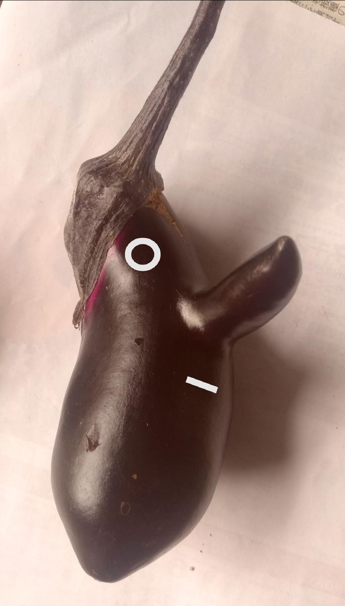 f:id:manimani-farm:20211020231106j:plain