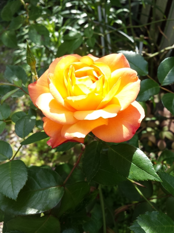 20190506075717