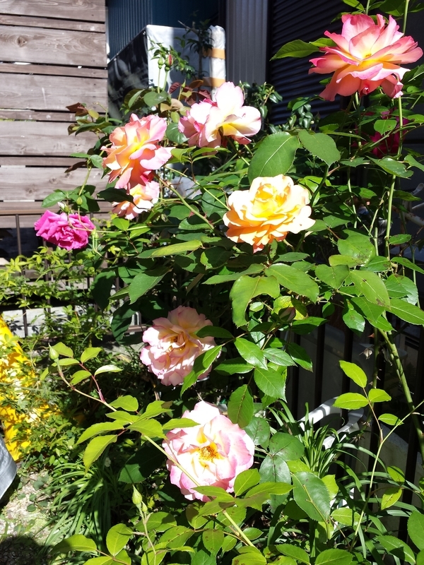 20190508152731