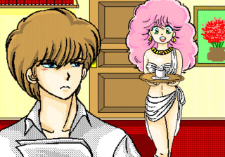 ランスとシィル・プライン画像