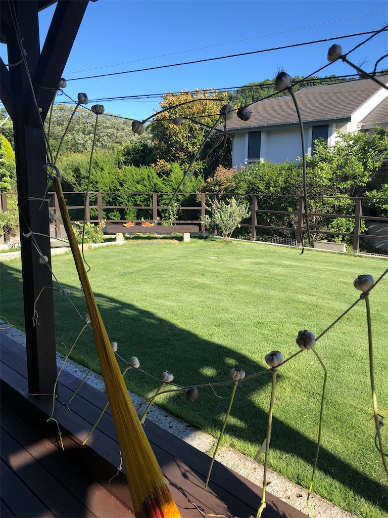 f:id:manimanitan:20190619111843j:image f:id:manimanitan:20190619111843j:image
