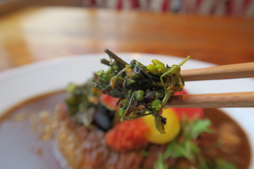 f:id:manismanis:20180418192920j:plain f:id:manismanis:20180418192920j:plain