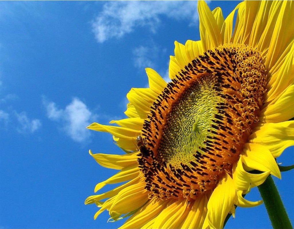 f:id:maniy_smile:20201205173853j:image f:id:maniy_smile:20201205173853j:image