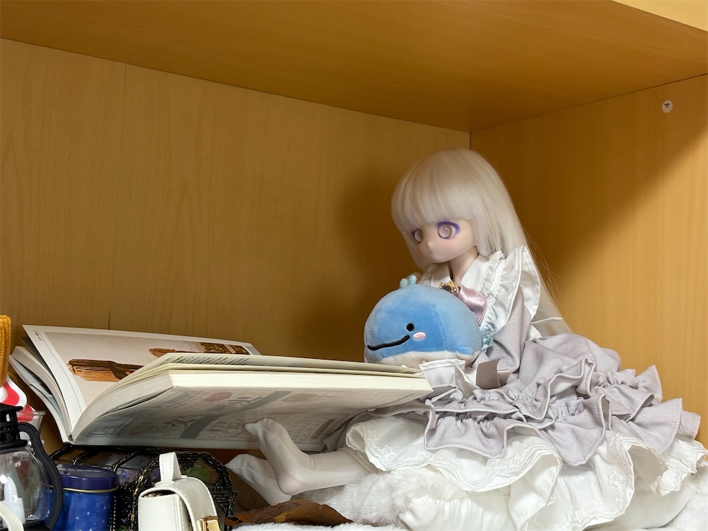 f:id:manjiro_omukaedoll:20250525193216j:image