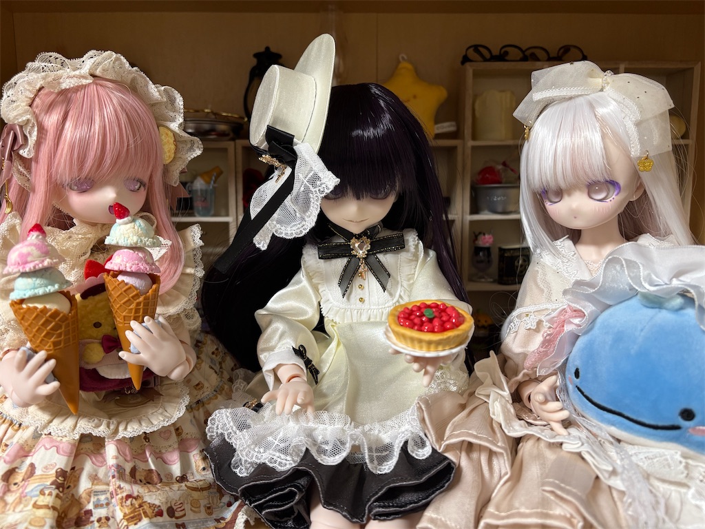 f:id:manjiro_omukaedoll:20251220135058j:image