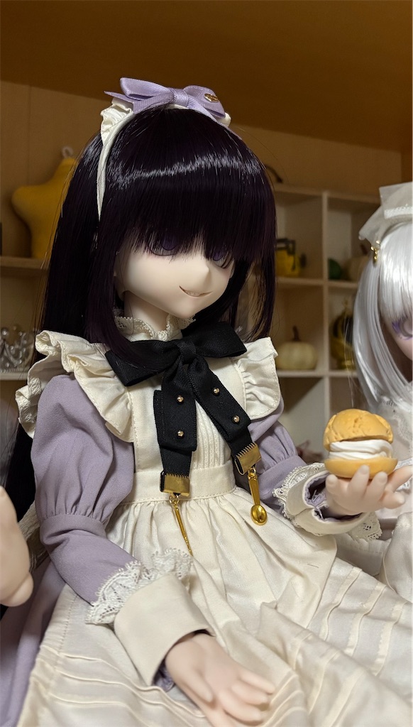 f:id:manjiro_omukaedoll:20251220135226j:image