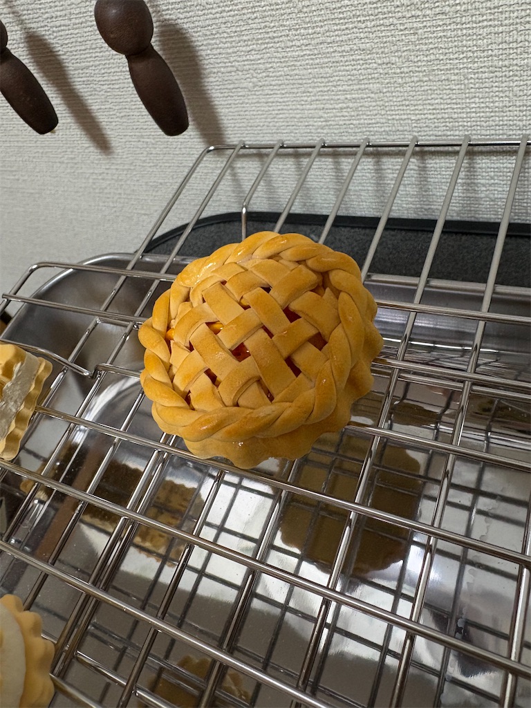 f:id:manjiro_omukaedoll:20251224182018j:image