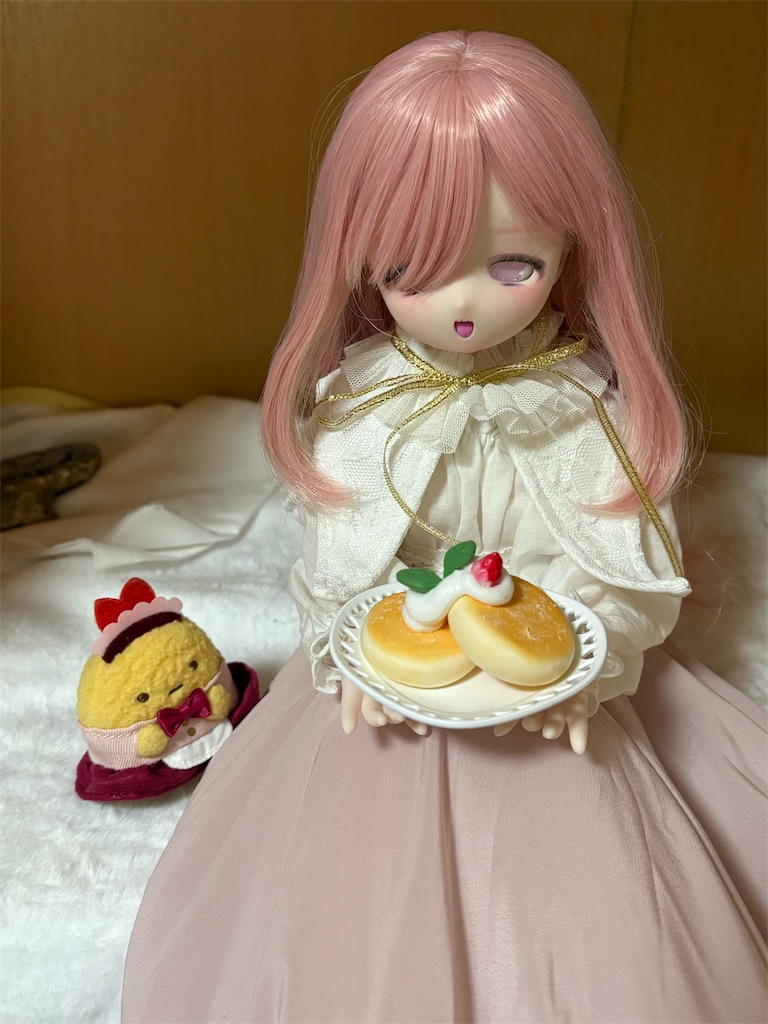 f:id:manjiro_omukaedoll:20251224182122j:image