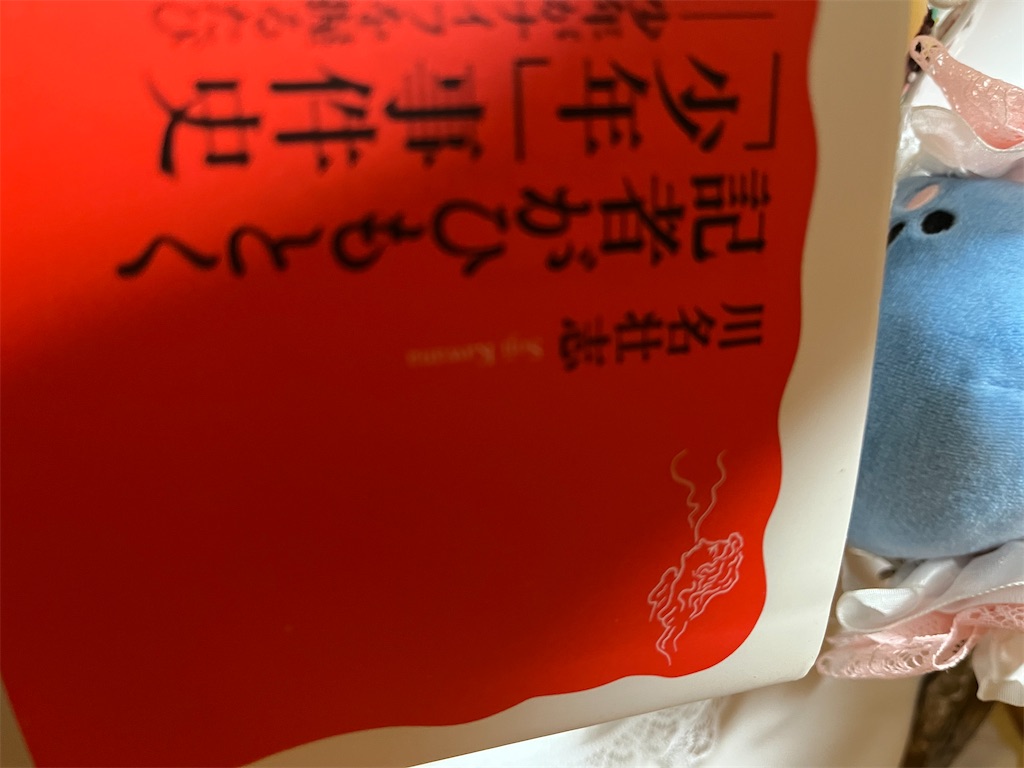 f:id:manjiro_omukaedoll:20251228204832j:image